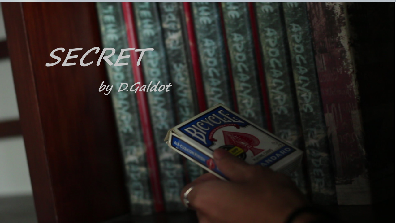 Secret by D.Galdot